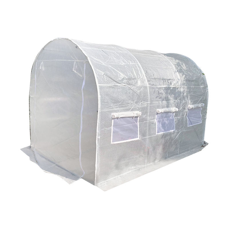 Kas versus polytunnel: welke kweekstructuur is de beste investering voor opbrengsten het hele jaar door?