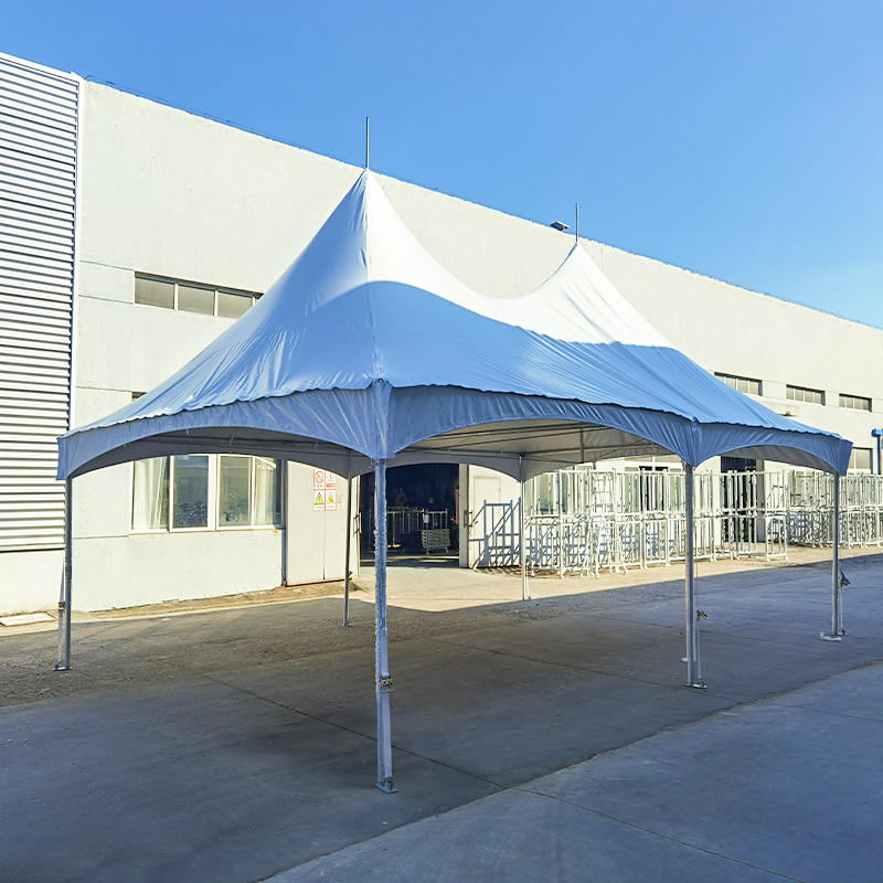 20 x 30 inch (6 x 9 m) PVC feesttent met aluminium frame en hoge piek
